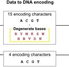 'Data to DNA encoding' 도표의 일부. 염기 네 개(A C G T)만 쓰는 부호화 방식과, 여기에 축퇴 염기 열한 종(R Y M K S W H B V D N)을 더해 문자 열다섯 개를 쓰는 방식을 두 상자로 비교한다.